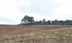 Tunnel erosion in East Gippsland fig 26c