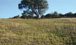 Tunnel erosion in East Gippsland fig 26d