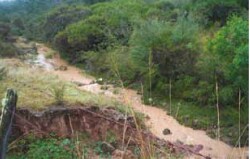 Tunnel erosion in East Gippsland fig 2c