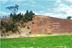 Tunnel erosion in East Gippsland fig 3