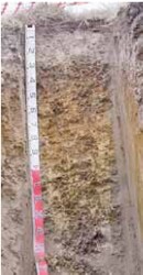 Tunnel erosion in East Gippsland fig 9b