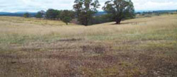 Tunnel erosion in East Gippsland January 2004