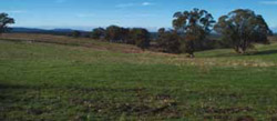 Tunnel erosion in East Gippsland June 2004