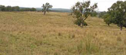 Tunnel erosion in East Gippsland May 2009