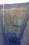 Tunnel erosion in East Gippsland table 10