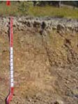 Tunnel erosion in East Gippsland table 11