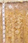 Tunnel erosion in East Gippsland table 14