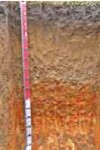 Tunnel erosion in East Gippsland table 15
