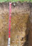 Tunnel erosion in East Gippsland table 16