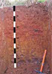Tunnel erosion in East Gippsland table 17
