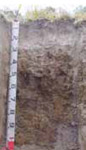 Tunnel erosion in East Gippsland table 5