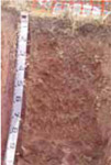 Tunnel erosion in East Gippsland table 6