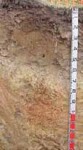 Tunnel erosion in East Gippsland table 8