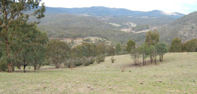 Soils and landforms of Far East Gippsland - Ambyne - EG224 landscape
