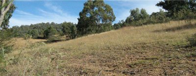 Soils and landforms of Far East Gippsland - Ambyne - EG242 landscape