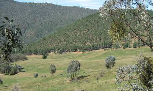 Soils and landforms of Far East Gippsland - Ambyne - landform