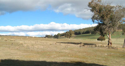 Soils and landforms of Far East Gippsland - Bendoc - EG222 landscape