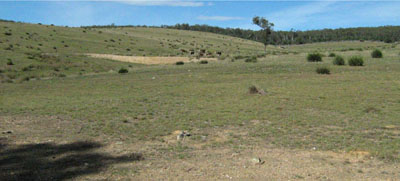 Soils and landforms of Far East Gippsland - Bendoc - EG240 landscape