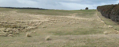 Soils and landforms of Far East Gippsland - Bendoc - EG243 landscape