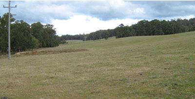 Soils and landforms of Far East Gippsland - Delegate - EG223 landscape