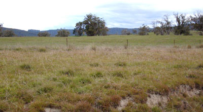 Soils and landforms of Far East Gippsland - Dellicknora - EG239 landscape