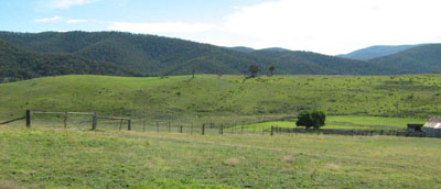 Soils and landforms of Far East Gippsland - Dellicknora - EG241 landscape
