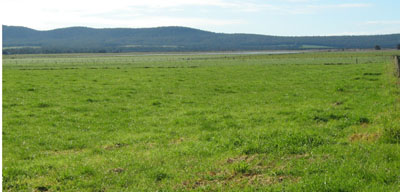 Soils and landforms of Far East Gippsland - River flats EG119 landscape