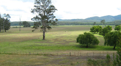 Soils and landforms of Far East Gippsland - River flats EG120 landscape