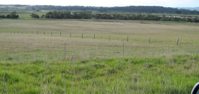 Soils and landforms of Far East Gippsland - River flats EG9 landscape
