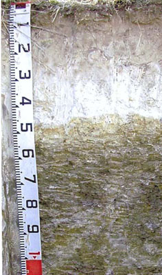 Soils and landforms of Far East Gippsland - River terraces EG18 profile