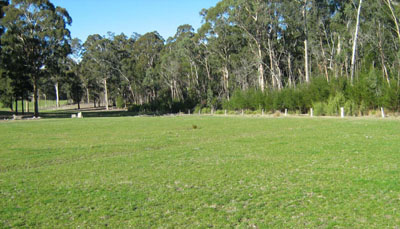 Soils and landforms of Far East Gippsland - River terraces EG214 landscape