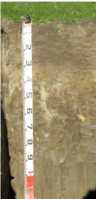 Soils and landforms of Far East Gippsland - River terraces EG214 profile
