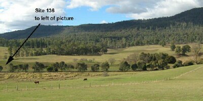 Soils and landforms of Far East Gippsland - River valley Site 136 landscape