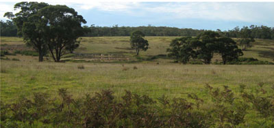 Soils and landforms of Far East Gippsland - Waygara EG220 landscape