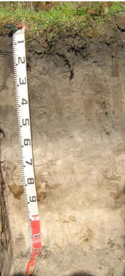 Soils and landforms of Far East Gippsland - Waygara EG220 profile