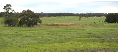 Soils and landforms of Far East Gippsland - Waygara EG249 landscape
