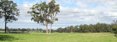 Soils and landforms of Far East Gippsland - Waygara landform