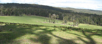 Soils and landforms of Far East Gippsland - Waygara Site 147 landscape
