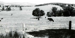 A study of the land in the Catchment of Gippsland Lakes - Vol 2 - land system Anderson1 - image