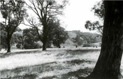 A study of the land in the Catchment of Gippsland Lakes - Vol 2 - land system Anderson2 - image