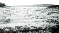 A study of the land in the Catchment of Gippsland Lakes - Vol 2 - land system Bennison- image