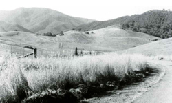 A study of the land in the Catchment of Gippsland Lakes - Vol 2 - land system Bindi- image