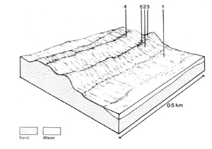 A study of the land in the Catchment of Gippsland Lakes - Vol 2 - land system Booran1- cs