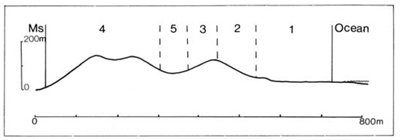 A study of the land in the Catchment of Gippsland Lakes - Vol 2 - land system Booran1- graph