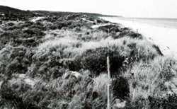 A study of the land in the Catchment of Gippsland Lakes - Vol 2 - land system Booran1- image