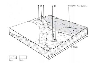 A study of the land in the Catchment of Gippsland Lakes - Vol 2 - land system Booran2- cs