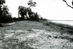 A study of the land in the Catchment of Gippsland Lakes - Vol 2 - land system Booran2- image