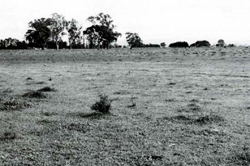 A study of the land in the Catchment of Gippsland Lakes - Vol 2 - land system Briagolong- image