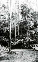 A study of the land in the Catchment of Gippsland Lakes - Vol 2 - </font>land system Cascade - image