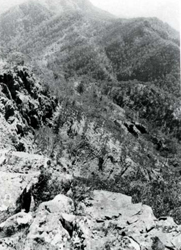 A study of the land in the Catchment of Gippsland Lakes - Vol 2 - land system Clifford- image